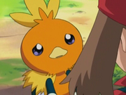 EP278 Torchic triste.png