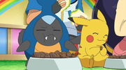 EP757 Karrablast y Pikachu comiendo.png