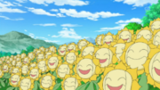 EP861 Sunflora.png