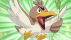 Farfetch’d