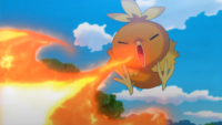 Torchic usando ascuas.