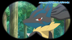 Lucario