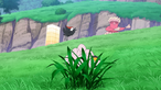 Exeggcute