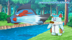 Swampert