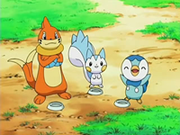 EP513 Pokémon de Maya.png