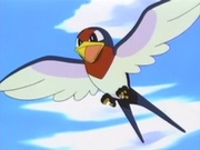 EP302 Taillow.jpg