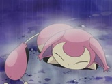 Skitty