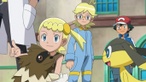 Zigzagoon