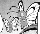 Butterfree en PV001