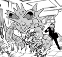 Nidoking en PPM031
