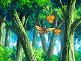 Combee