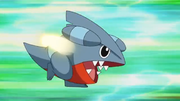 EP641 Gible de Ash.png