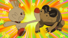 Sandile contra Scorbunny.