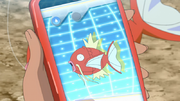 EP1113 Magikarp en la SmartRotom.png