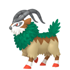 Gogoat macho