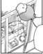 Drifloon en DTWN30-01