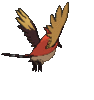 Imagen posterior de Fletchinder variocolor en Pokémon X, Pokémon Y, Pokémon Rubí Omega, Pokémon Zafiro Alfa, Pokémon Sol, Pokémon Luna, Pokémon Ultrasol y Pokémon Ultraluna