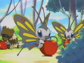 Zigzagoon