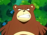 Ursaring