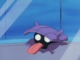 Shellder