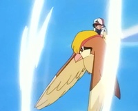Pidgeot de Ash usando tornado/ráfaga de aire.