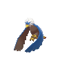 Imagen de Braviary variocolor en Pokémon Espada y Pokémon Escudo