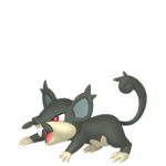 Rattata de Alola macho