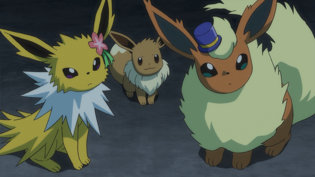Toril junto a Bernice y la Eevee de Chloe.