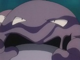 Muk