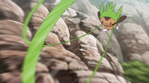 Chespin de Clemont/Lem usando látigo cepa.