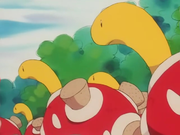 EP172 Shuckle de Ruco Shuckle.png