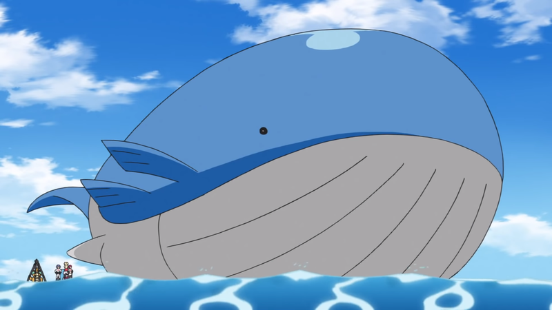 Archivo:EP1099 Wailord.png