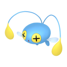 Chinchou macho