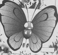 Butterfree de Ash en el manga El Cuento Eléctrico de Pikachu.
