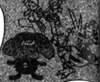 Vileplume