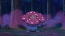 Vileplume afectado por Laqualio/Laquium en el Bosque Leñoso.
