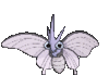 Imagen de Venomoth en Pokémon X, Pokémon Y, Pokémon Rubí Omega, Pokémon Zafiro Alfa, Pokémon Sol, Pokémon Luna, Pokémon Ultrasol y Pokémon Ultraluna
