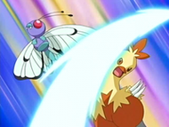 Combusken atacando a Butterfree.