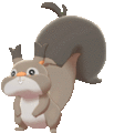 Imagen de Skwovet en Pokémon Espada y Pokémon Escudo