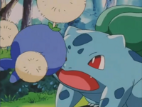 Jumpluff usando placaje.