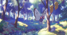 Butterfree