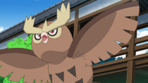 Imagen de Noctowl