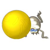 Rellor