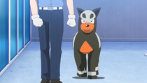 Imagen de Houndour