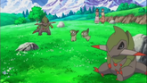 Axew - WikiDex, la enciclopedia Pokémon