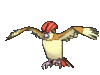 Imagen de Pidgeotto en Pokémon X, Pokémon Y, Pokémon Rubí Omega, Pokémon Zafiro Alfa, Pokémon Sol, Pokémon Luna, Pokémon Ultrasol y Pokémon Ultraluna