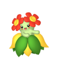 Bellossom HOME.png