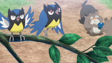 Rookidee