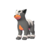 Imagen de Houndour en Leyendas Pokémon: Z-A