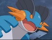 Swampert